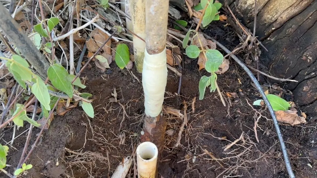 repaired vertical outdoor pipe stands beside an open replacement connection for hose bib & outdoor faucet repair in maricopa, az in Maricopa