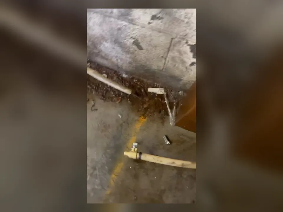 Water drips from a damaged line inside an unfinished service wall for water line repair & replacement in maricopa, az in Maricopa